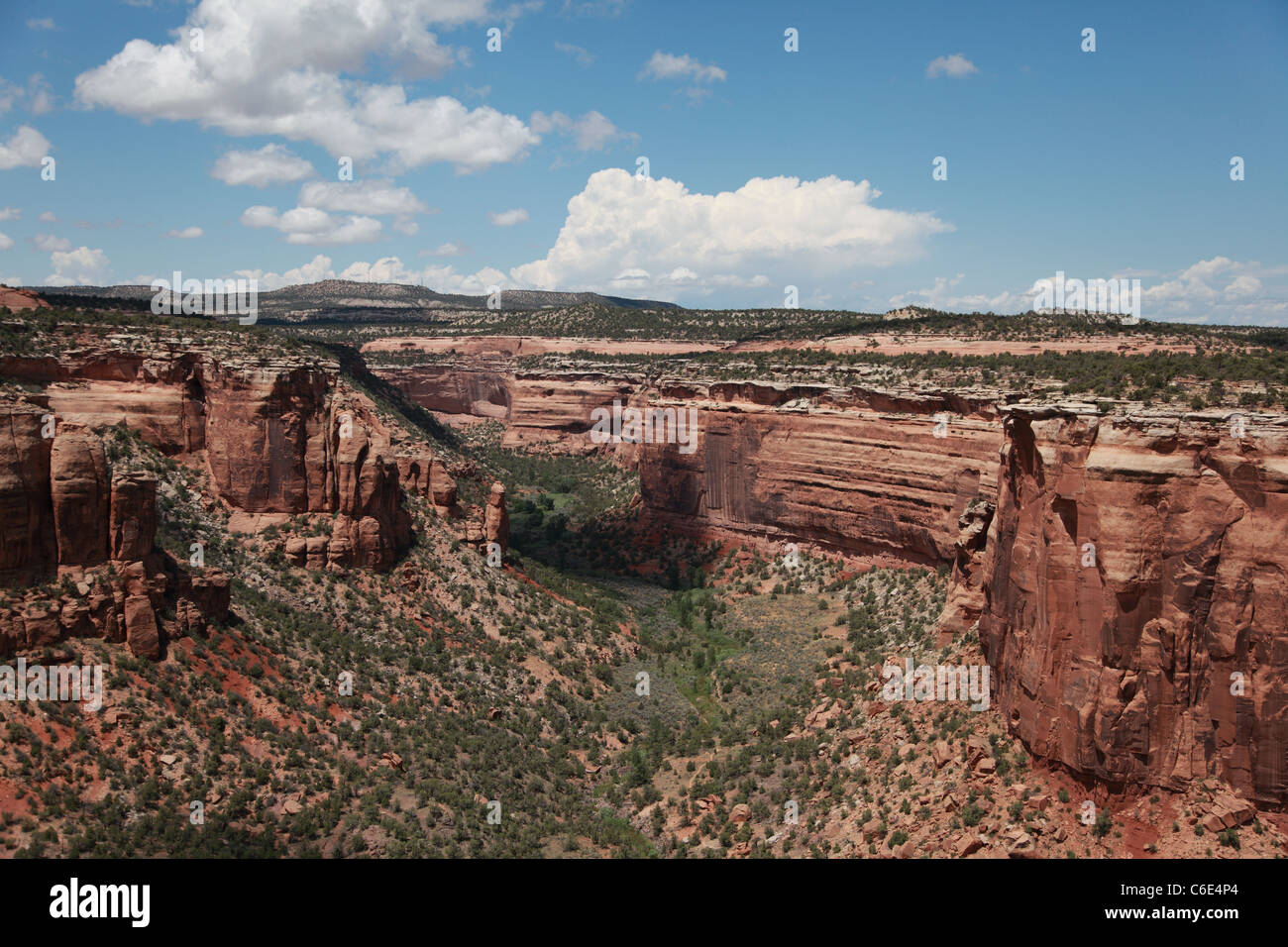 Felsformationen in Colorado National Monument in Grand Junction, Colorado aufgenommen. Stockfoto