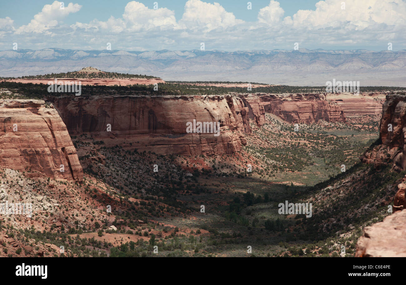 Felsformationen in Colorado National Monument in Grand Junction, Colorado aufgenommen. Stockfoto