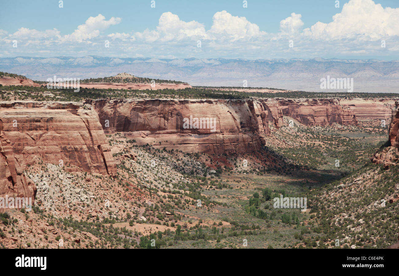 Felsformationen in Colorado National Monument in Grand Junction, Colorado aufgenommen. Stockfoto