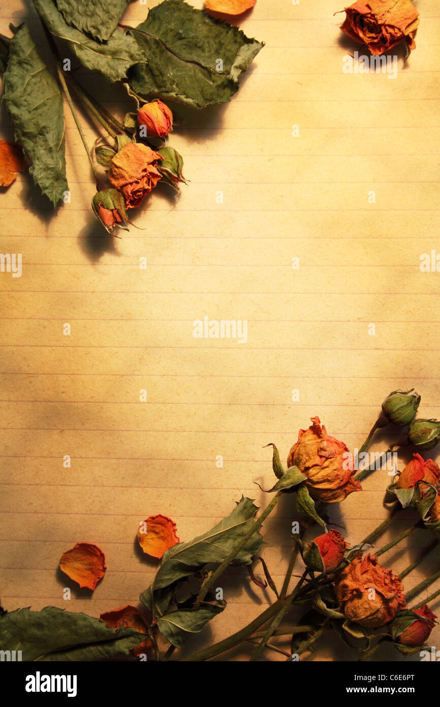 Leeres Blatt Papier, gerahmt getrocknete Blumen Stockfoto