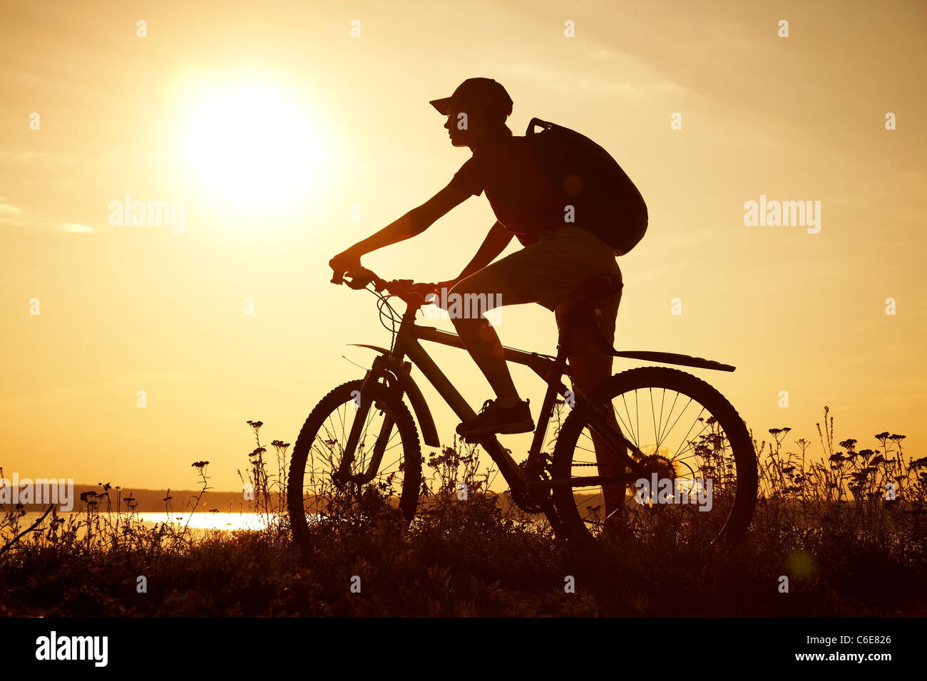 Silhouette der Sportler Radfahren auf dem Feld auf den wunderschönen Sonnenuntergang Stockfoto