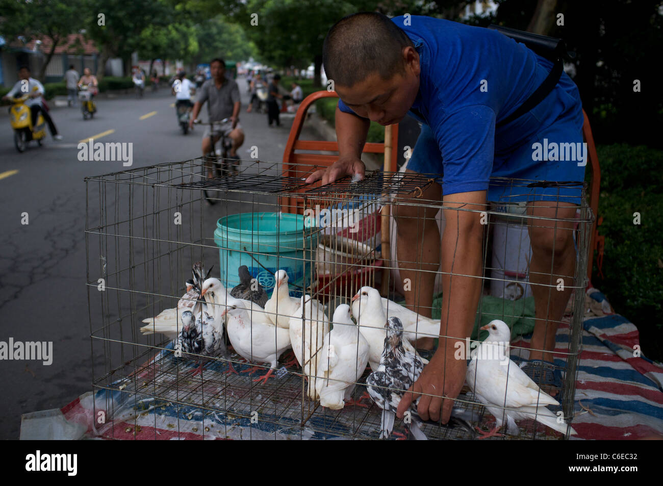 Ein Mann verkauft Tauben als Geflügel auf einem Markt in Congming, Shanghai, China.17-Aug-2011 Stockfoto