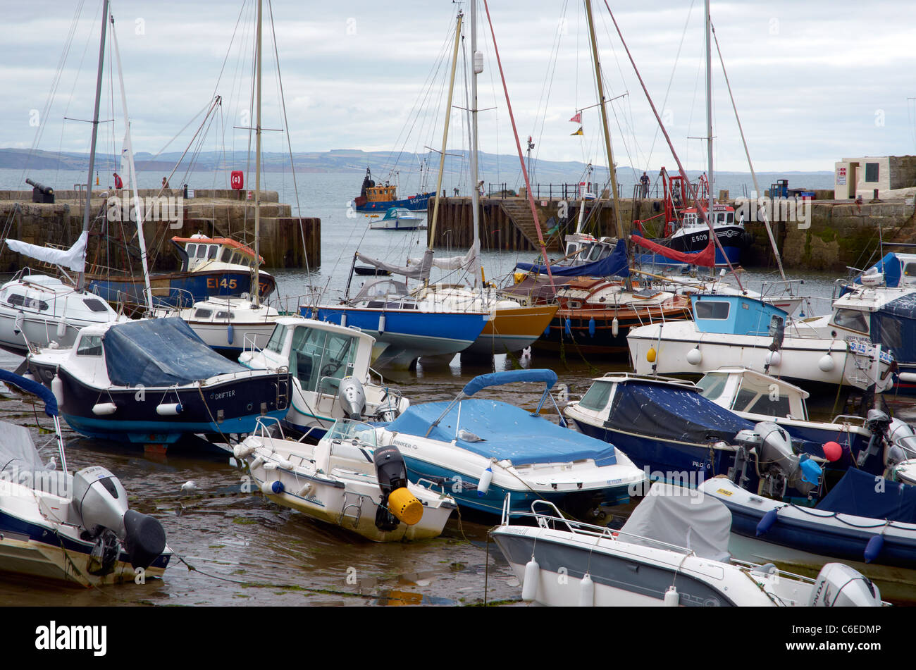 Der Hafen von Lyme Regis, Dorset, England bei Ebbe. Stockfoto