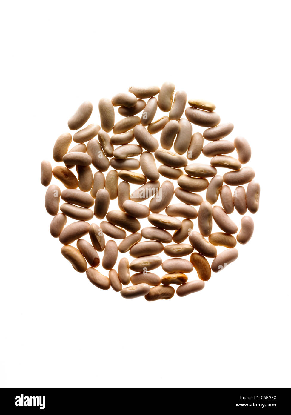Studioaufnahme der weißen Bohne Samen auf weißem Hintergrund Stockfoto