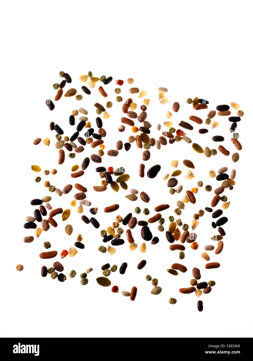 Studioaufnahme von gemischten Samen auf weißem Hintergrund Stockfoto