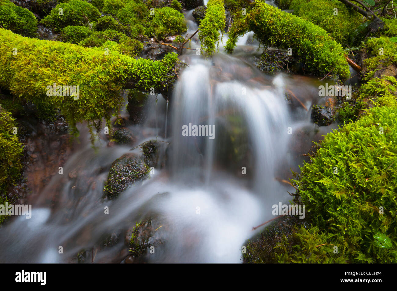 USA, Oregon, Mount Jefferson Wildnis, malerischer Wasserfall Stockfoto