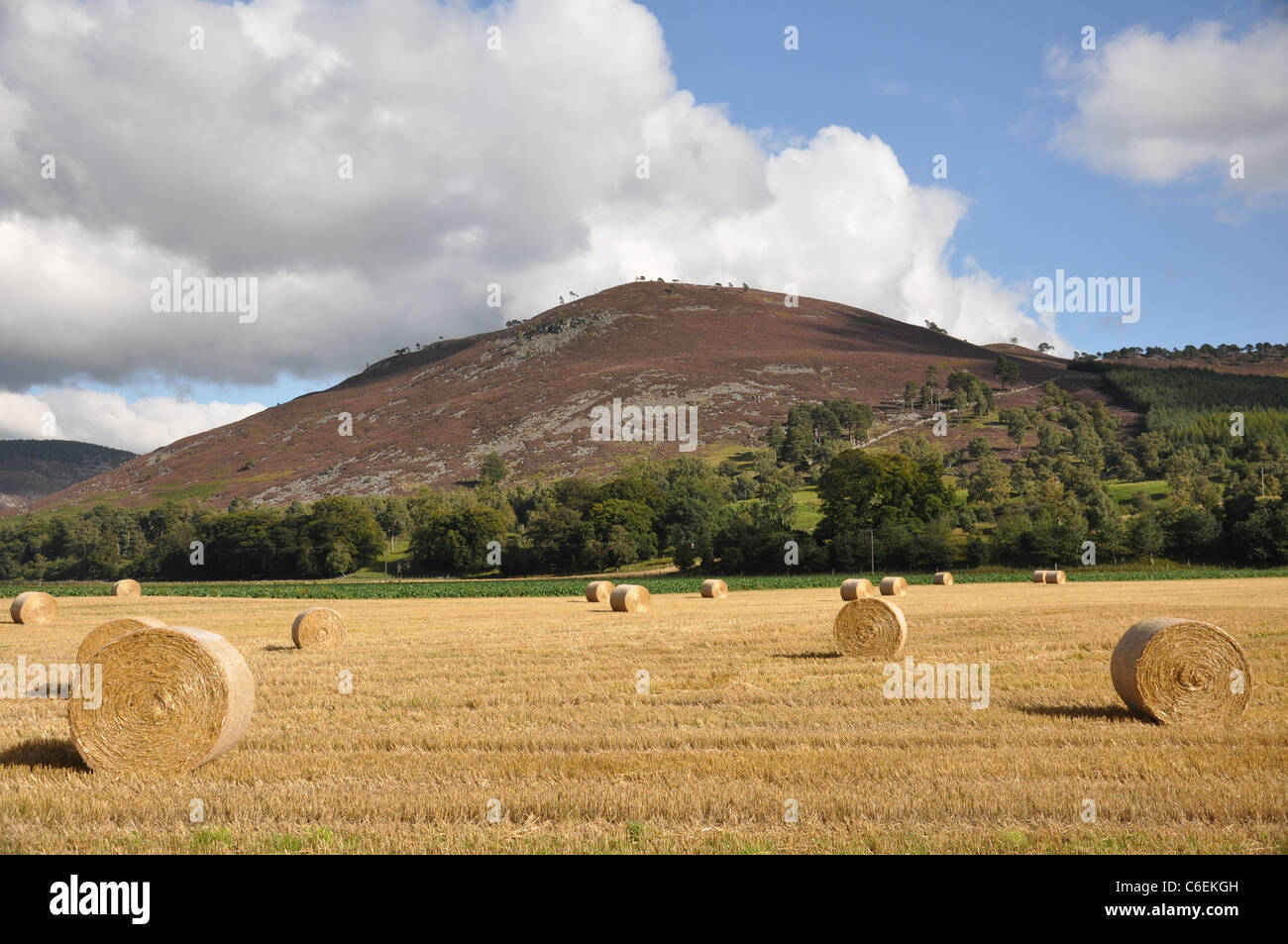 Royal Deeside Landschaft, Schottland, Herbst, Tarland, Aboyne Ballater Stockfoto