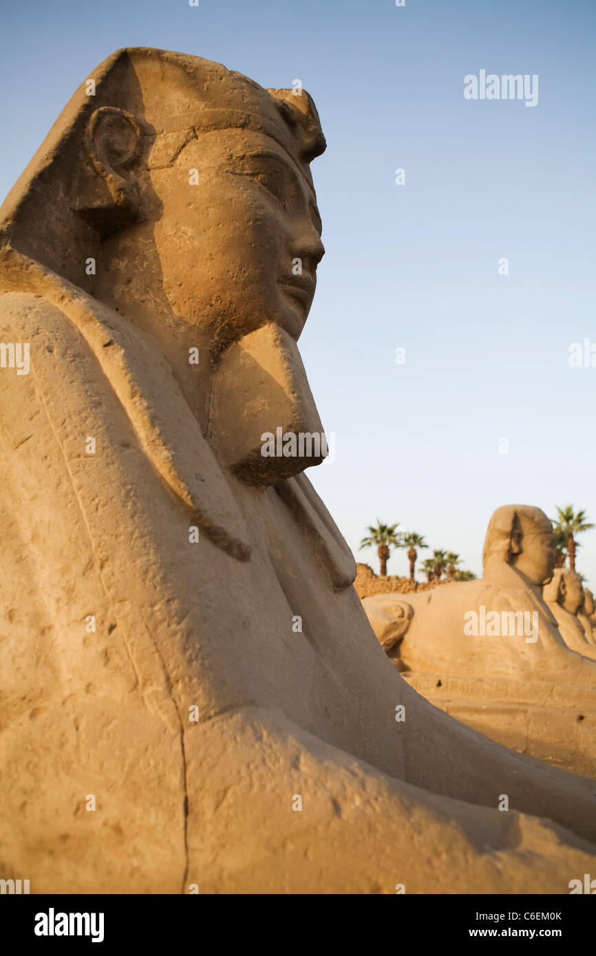 Allee der Sphinxe im Luxor-Tempel auf dem Nil, Luxor, Ägypten Stockfoto