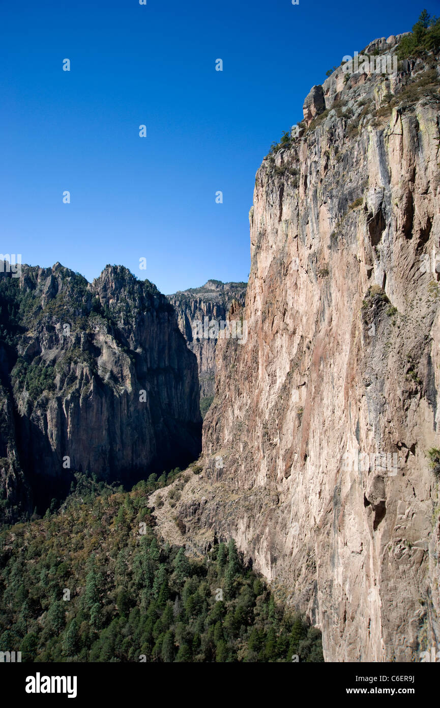 Blick auf Kupfer Canyon in Chihuahua Stockfoto