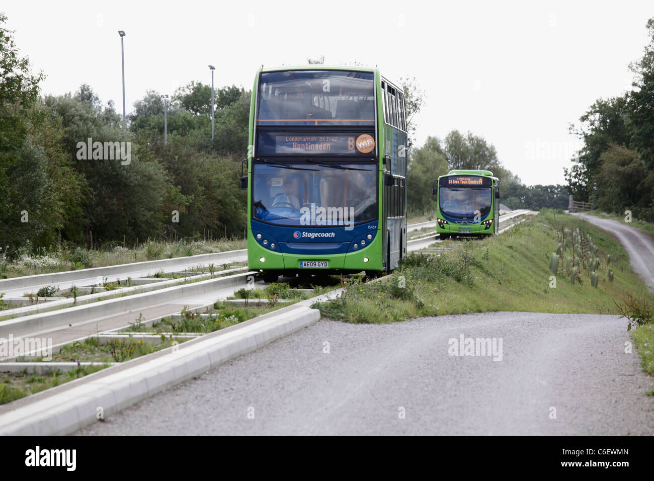 Zwei Busse auf Cambridge geführte Busway in St Ives Stockfoto