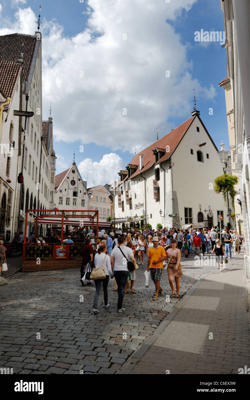 Altstadt von Tallinn Stockfoto