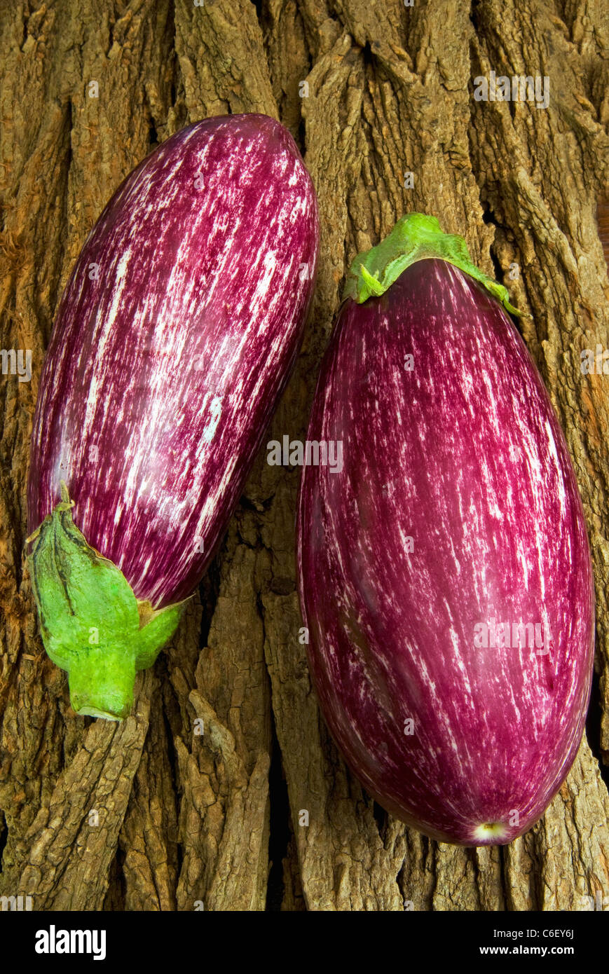 Gestreift Aubergine oder Aubergine (Solanum Melongena) Stockfoto