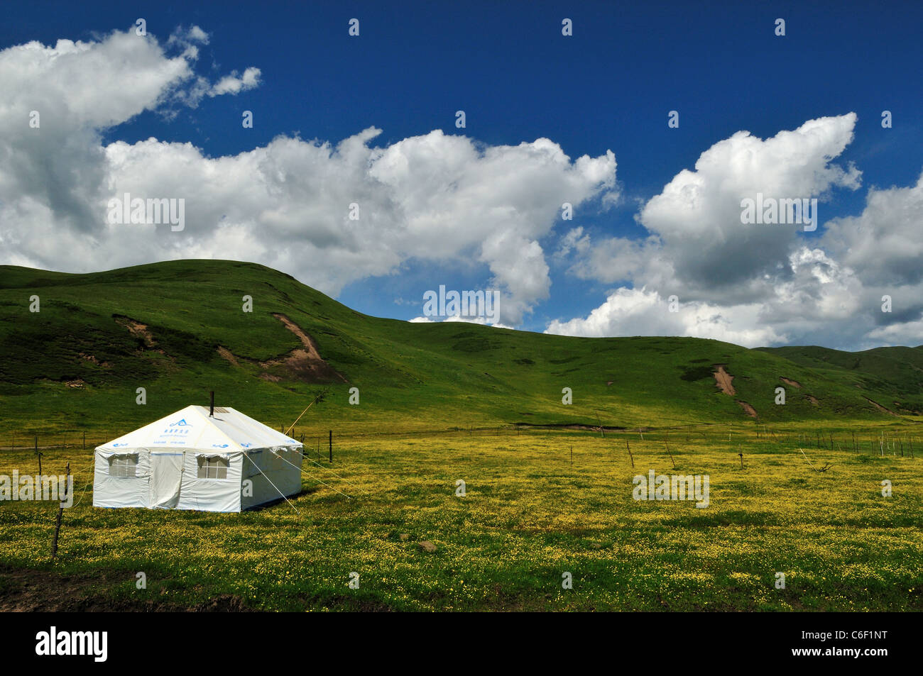 Ein weißes Zelt steht im vollen blühenden Wildblumen. Sichuan, China. Stockfoto