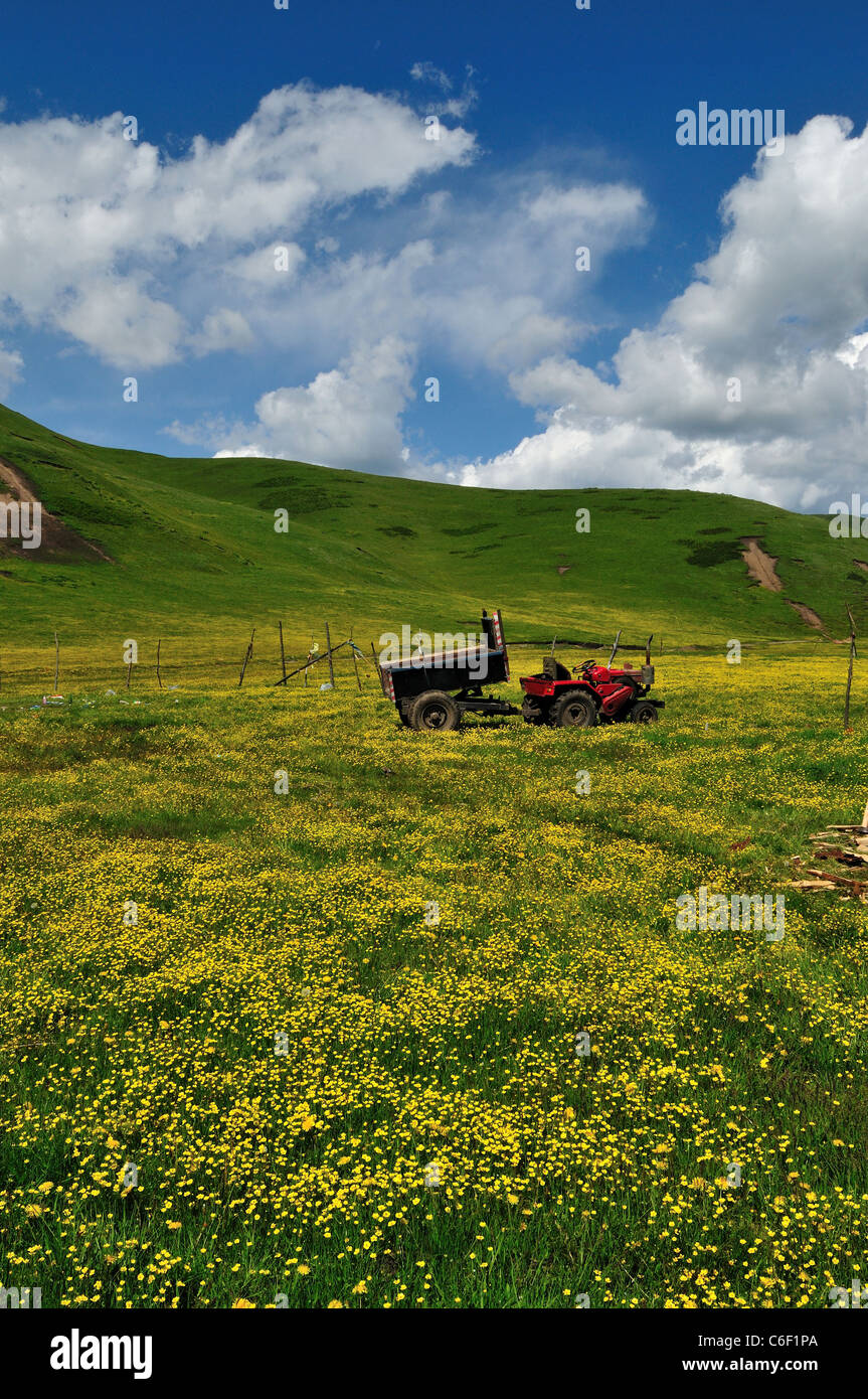 Ein roter Traktor geparkt in vollen blühenden Wildblumen. Sichuan, China. Stockfoto