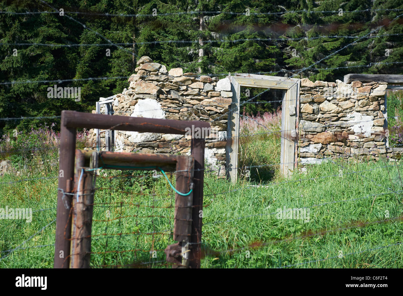Bucina - Buchwald - Grenze Tschechien-Deutschland - Eisernen Vorhang aus der Zeit des Kalten Krieges - Böhmerwald - Bayerischer wald Stockfoto