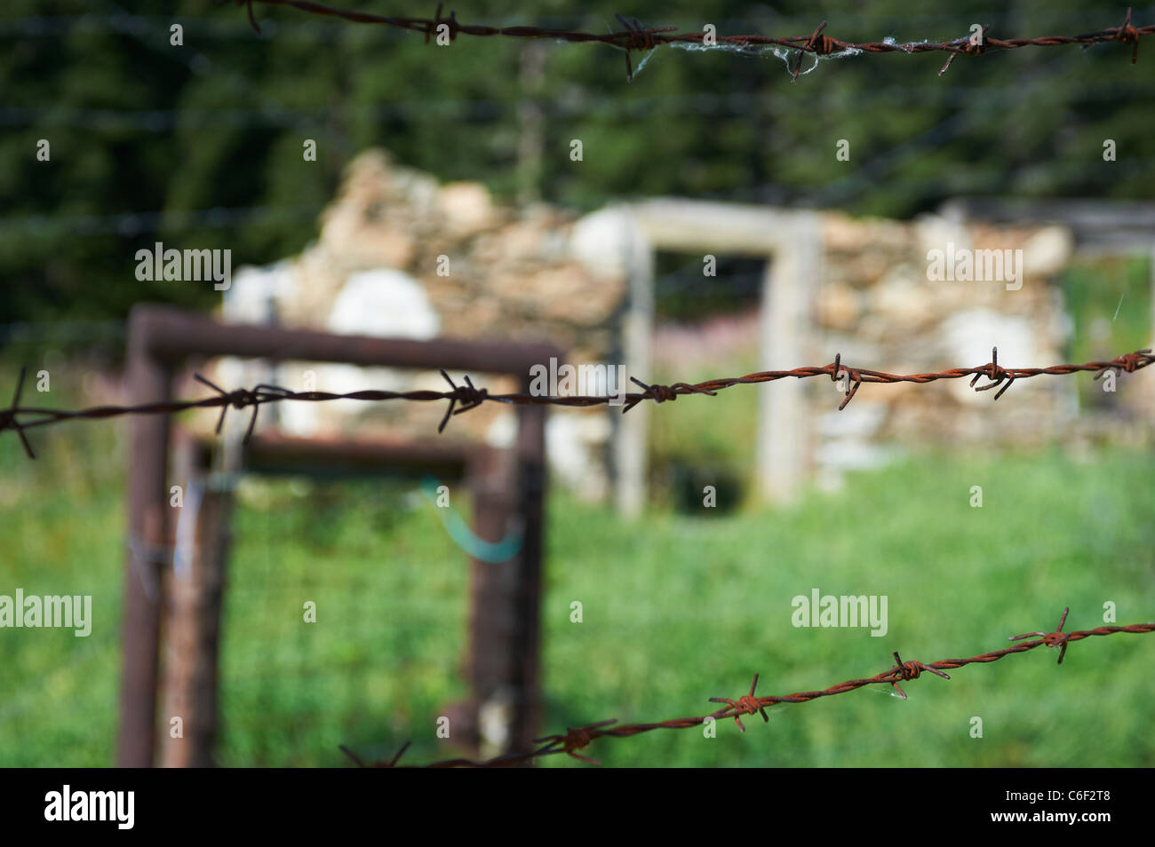 Bucina - Buchwald - Grenze Tschechien-Deutschland - Eisernen Vorhang aus der Zeit des Kalten Krieges - Böhmerwald - Bayerischer wald Stockfoto