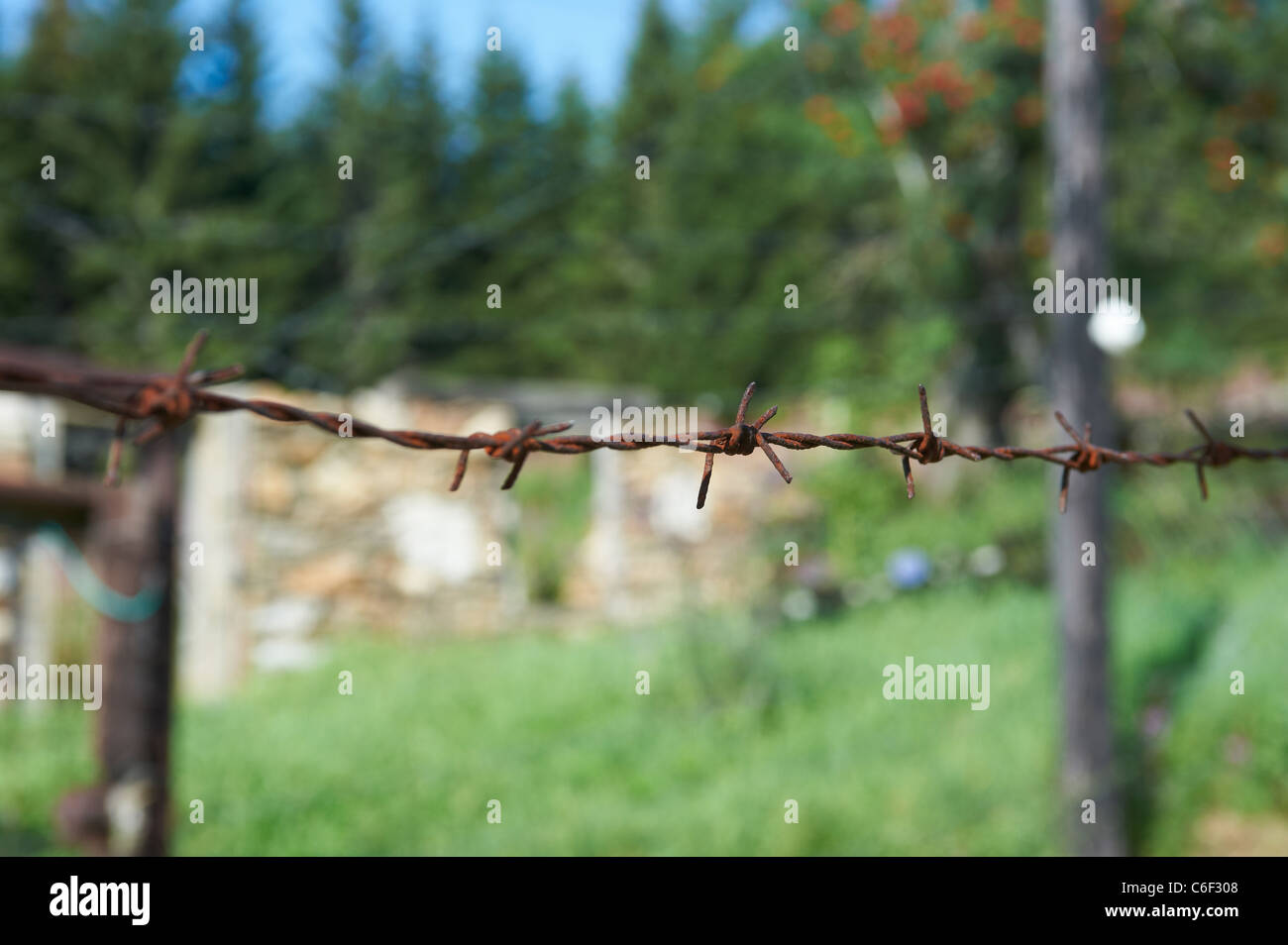 Bucina - Buchwald - Grenze Tschechien-Deutschland - Eisernen Vorhang aus der Zeit des Kalten Krieges - Böhmerwald - Bayerischer wald Stockfoto