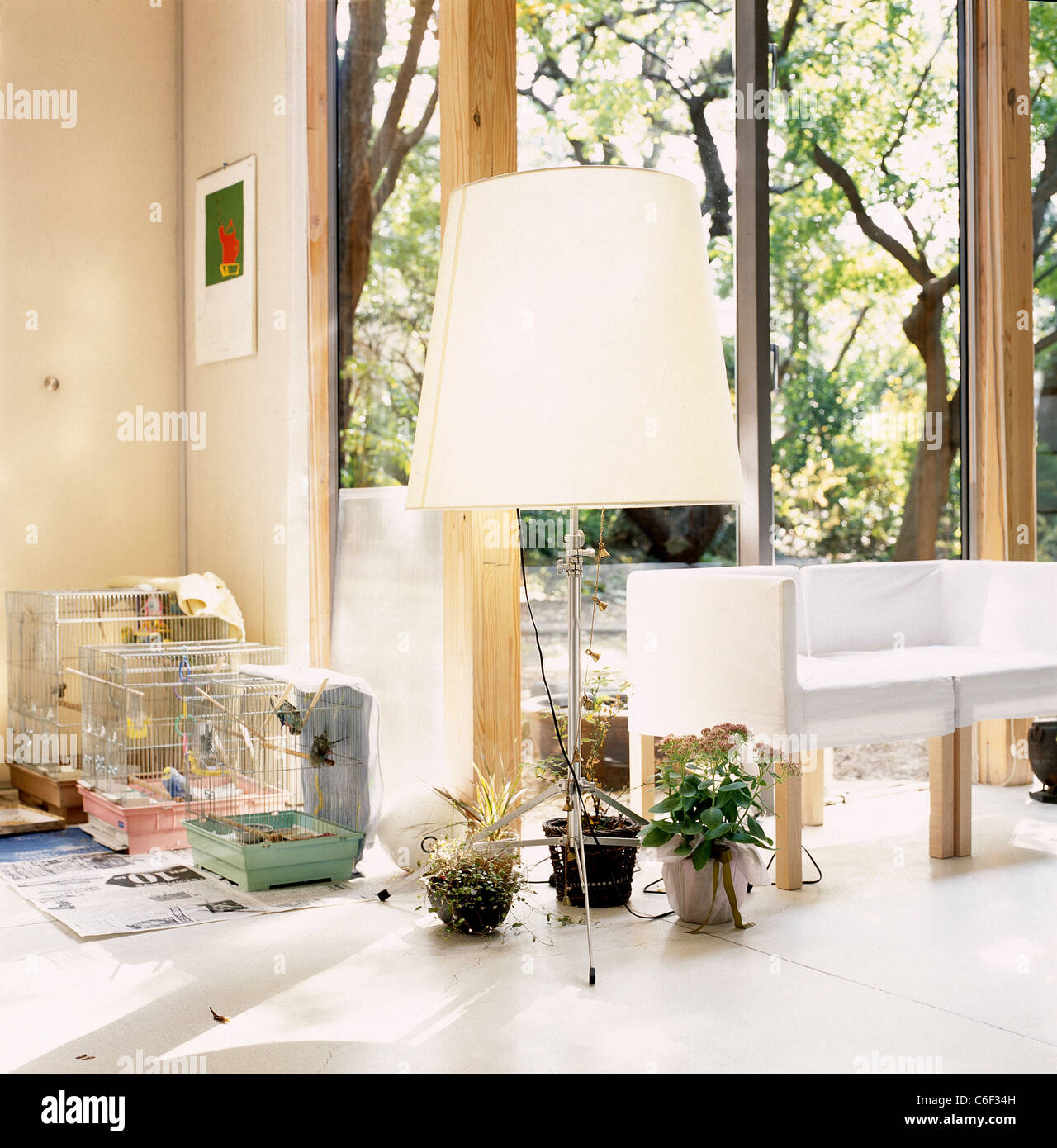 Innenraum eines Hauses im Wohnzimmer mit Sofa, Tisch, Stühle Stockfoto