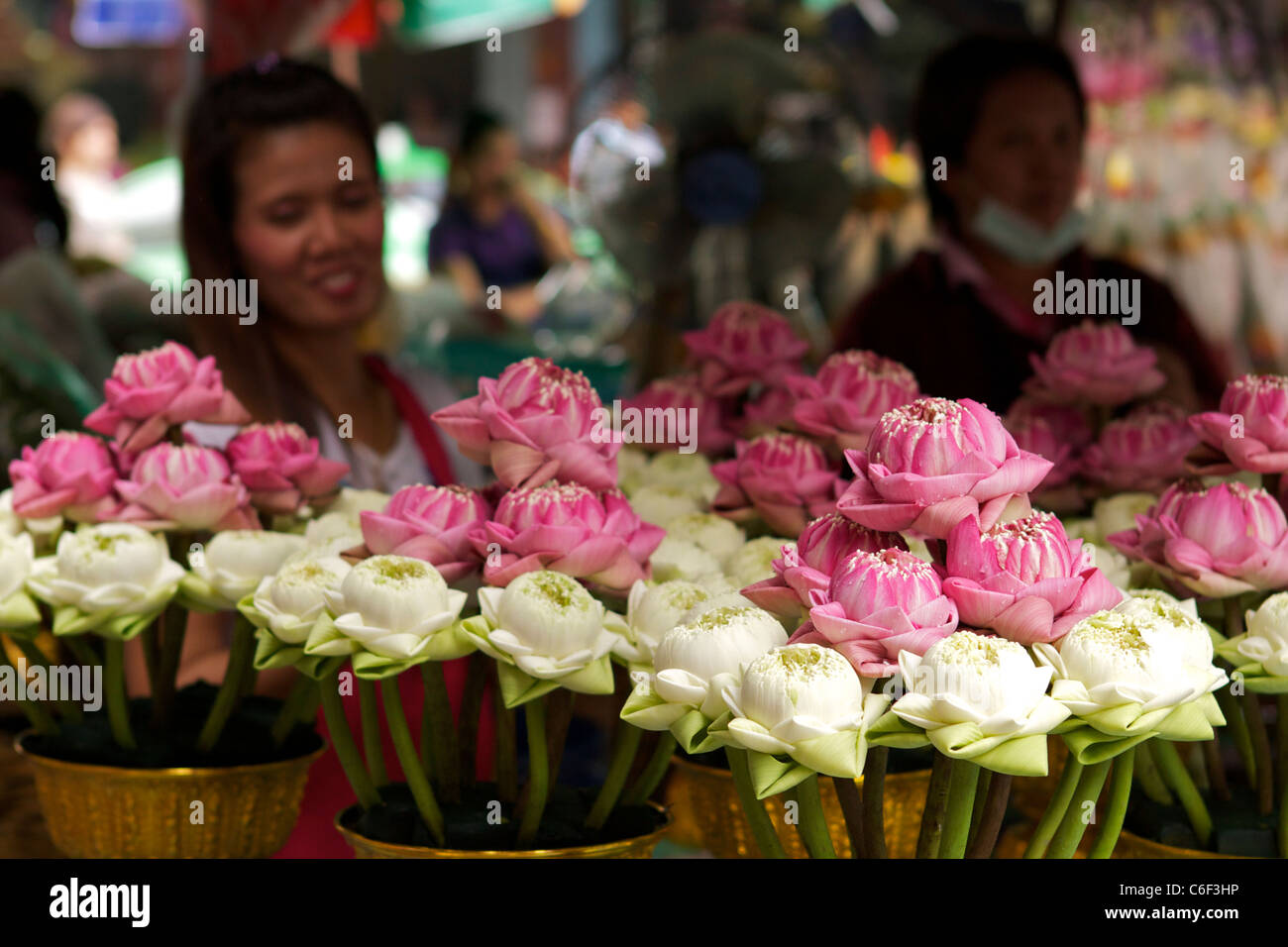 Schalen von Hand gefaltet Lotusblumen zum Verkauf an einem Straßenstand in Pak Klong Talat Markt (Blume) in Bangkok Stockfoto