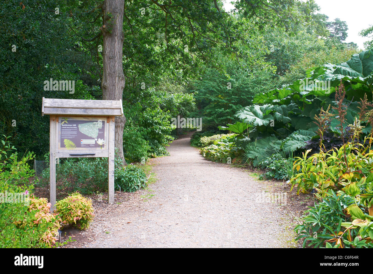 Zugangsweg zum Battleston Hill RHS Garden Wisley Woking Surrey UK Stockfoto