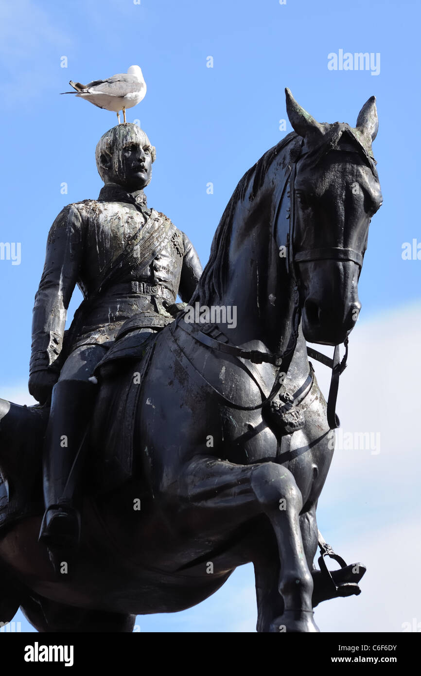 Statue von Prinz Albert auf einem Pferd mit einer Möwe auf dem Kopf. Stockfoto