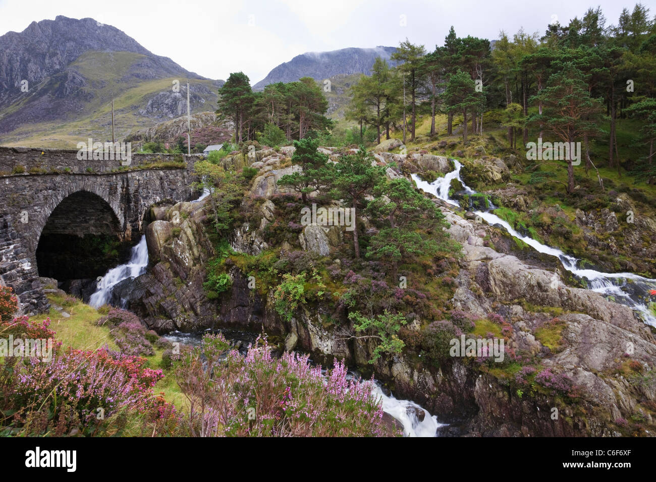 Wasserfall von Pont Pen-y-Benglog A5 Straßenbrücke über Afon Ogwen Fluss in Snowdonia National Park Ogwen North Wales UK. Stockfoto