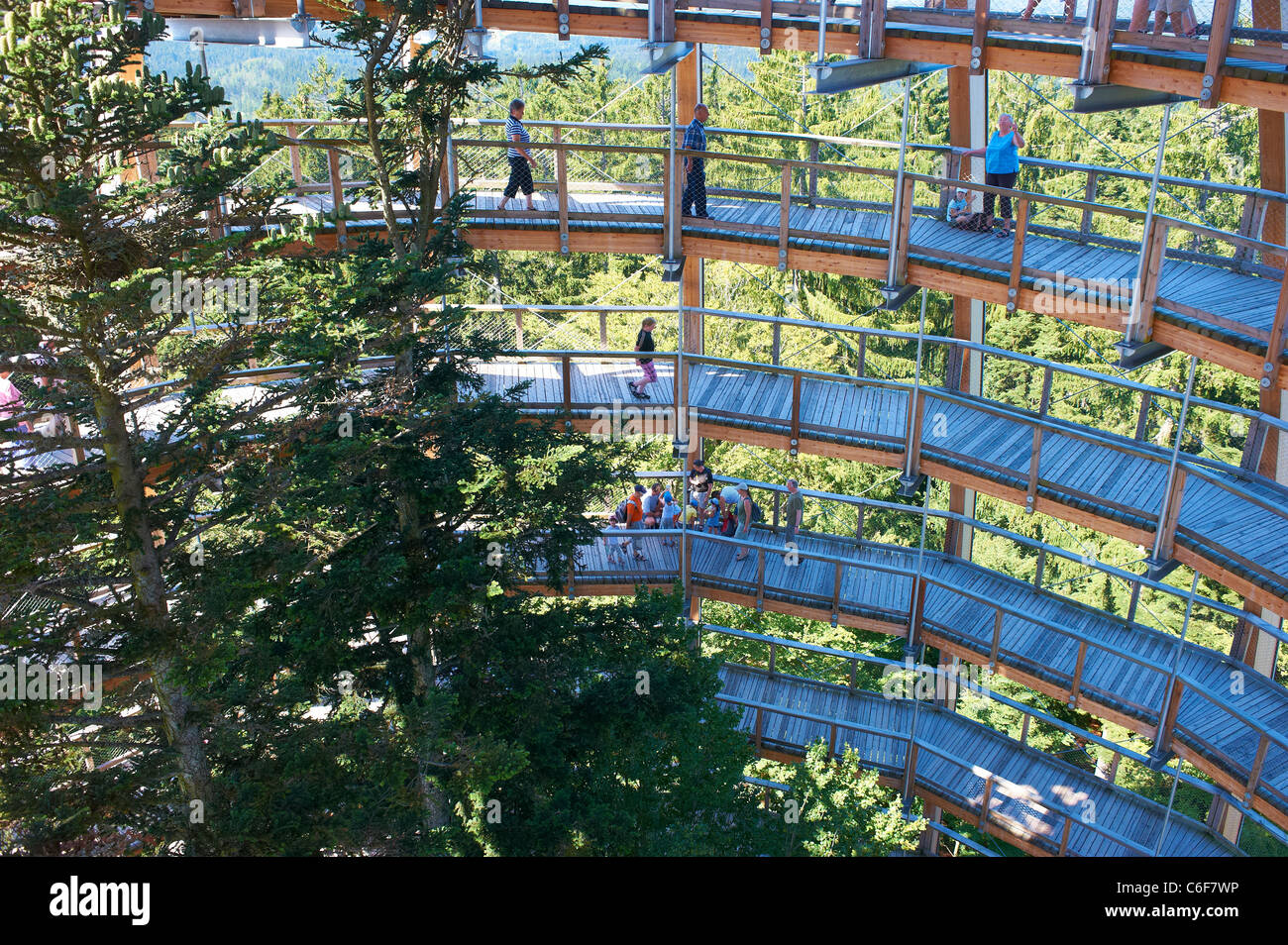 Die weltweit längste Baumkrone Fuß - Tree Tower - Nationalpark Bayerischer Wald - Neuschönau Neuschenau Stockfoto