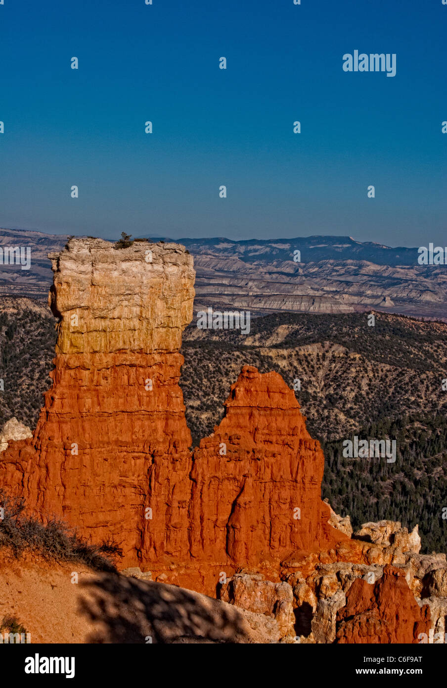 Hoodoos mit Blick auf Agua Canyon, Bryce Canyon Nationalpark Stockfoto