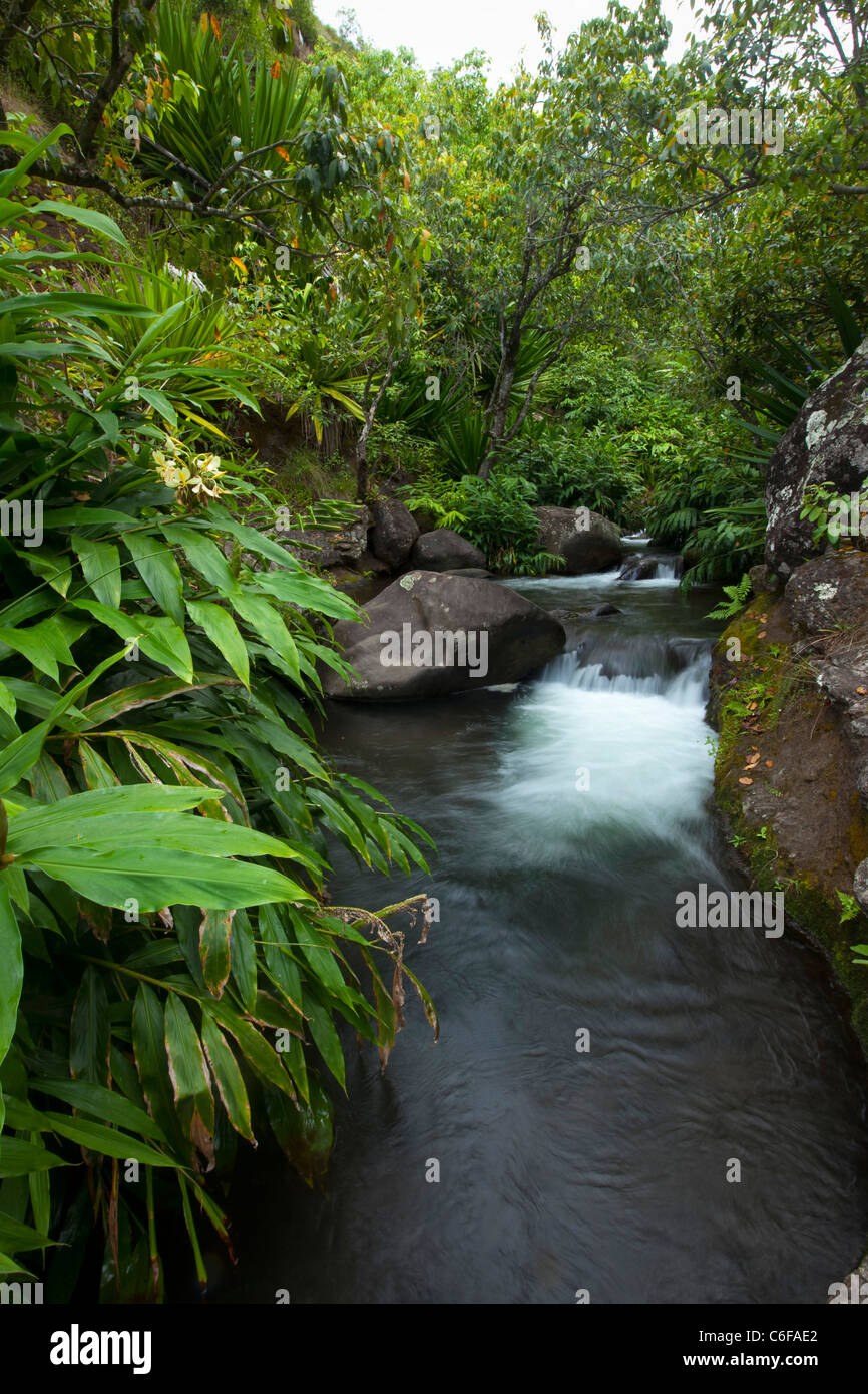 Kalalau Valley Stream, Napali Küste, Kauai, Hawaii Stockfoto
