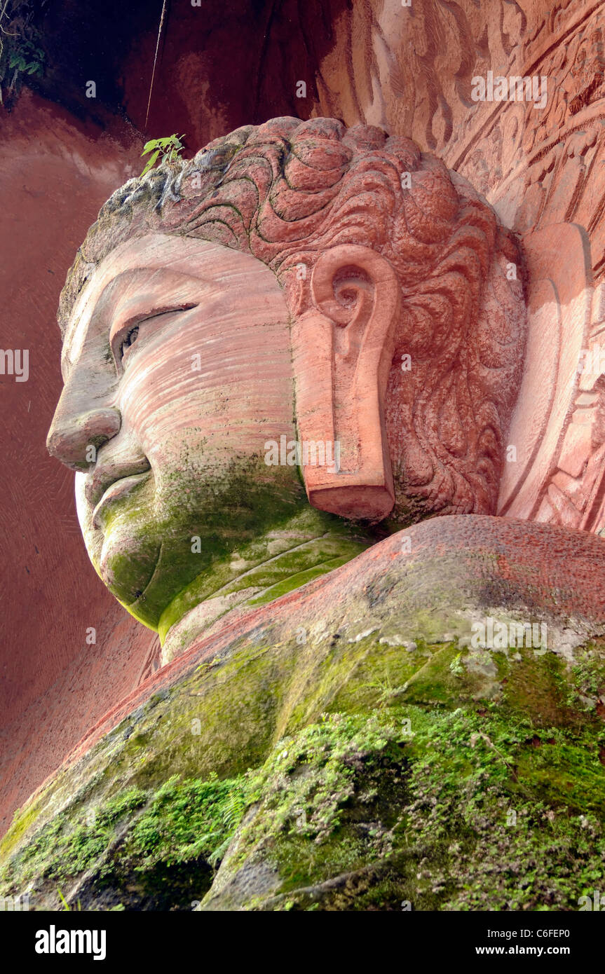 Stein geschnitzt Buddha bei Dongfang Fodu Gongyuan (Oriental Buddha Park), Leshan, China Stockfoto