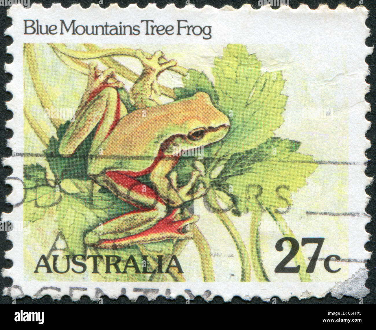 Australien - 1982: Eine Briefmarke gedruckt in Australien, zeigt der Blue Mountains-Laubfrosch (Litoria Citropa) Stockfoto