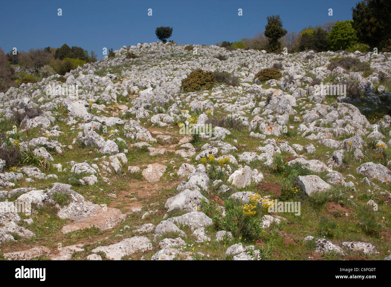 Wanderweg auf Monte Sacro, Halbinsel Gargano, Italien durch blumige Sandbr Pflaster. Stockfoto