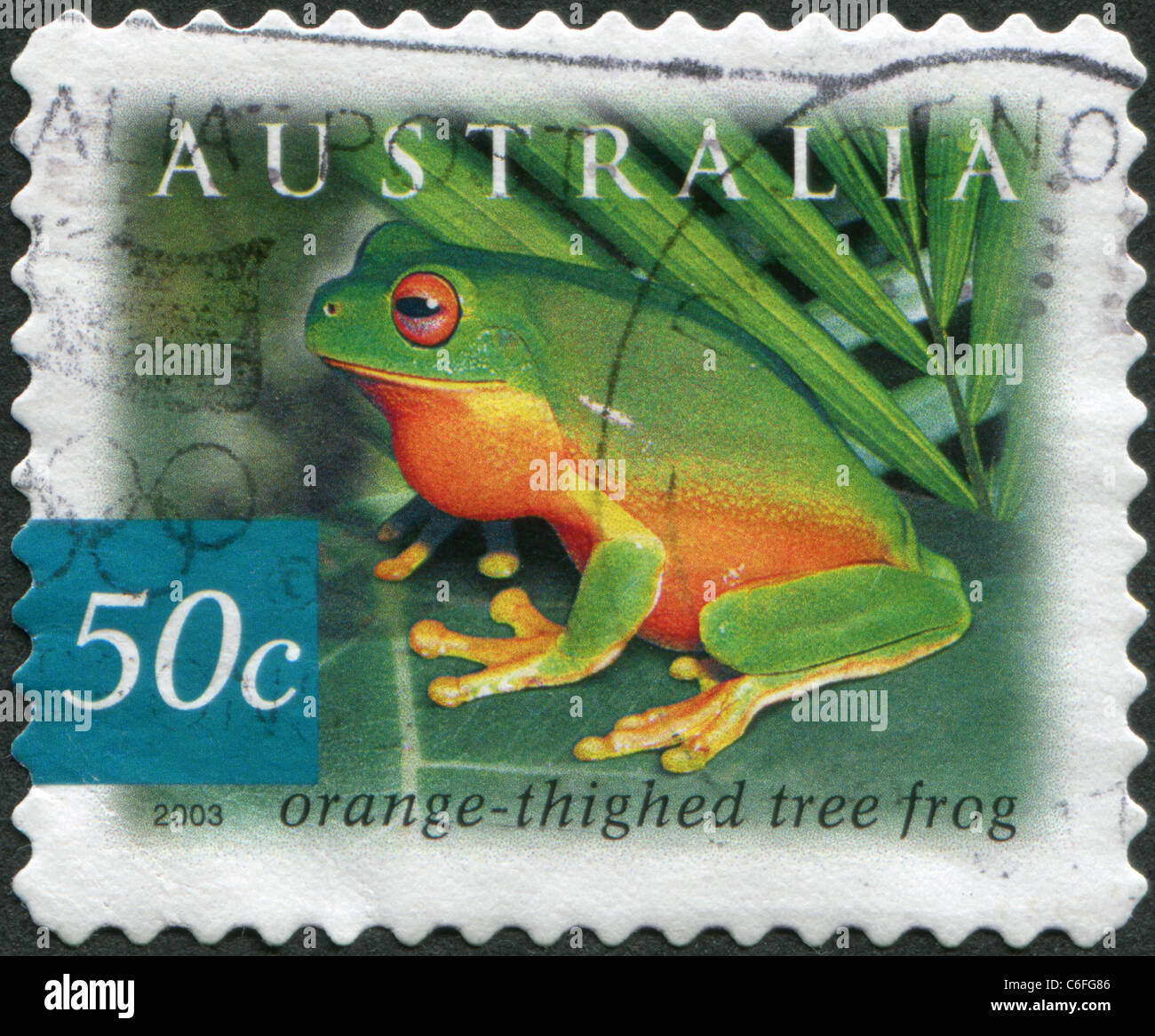 Australien - 2003: Eine Briefmarke gedruckt in Australien, zeigt den Orange-thighed Frosch (Litoria Xanthomera) Stockfoto