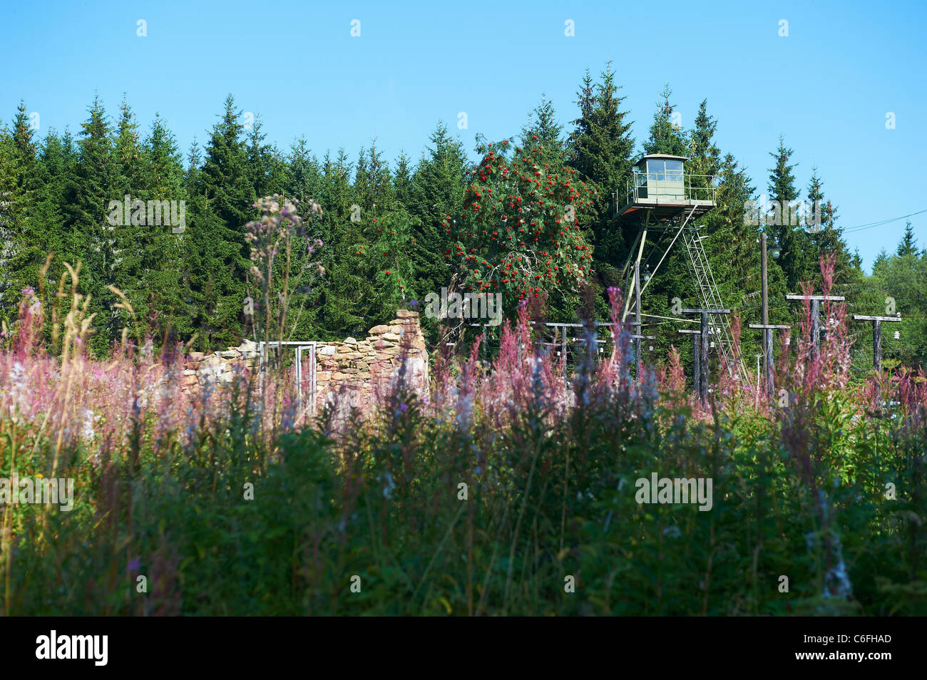 Bucina - Buchwald - Grenze Tschechien-Deutschland - Eisernen Vorhang aus der Zeit des Kalten Krieges - Böhmerwald - Bayerischer wald Stockfoto