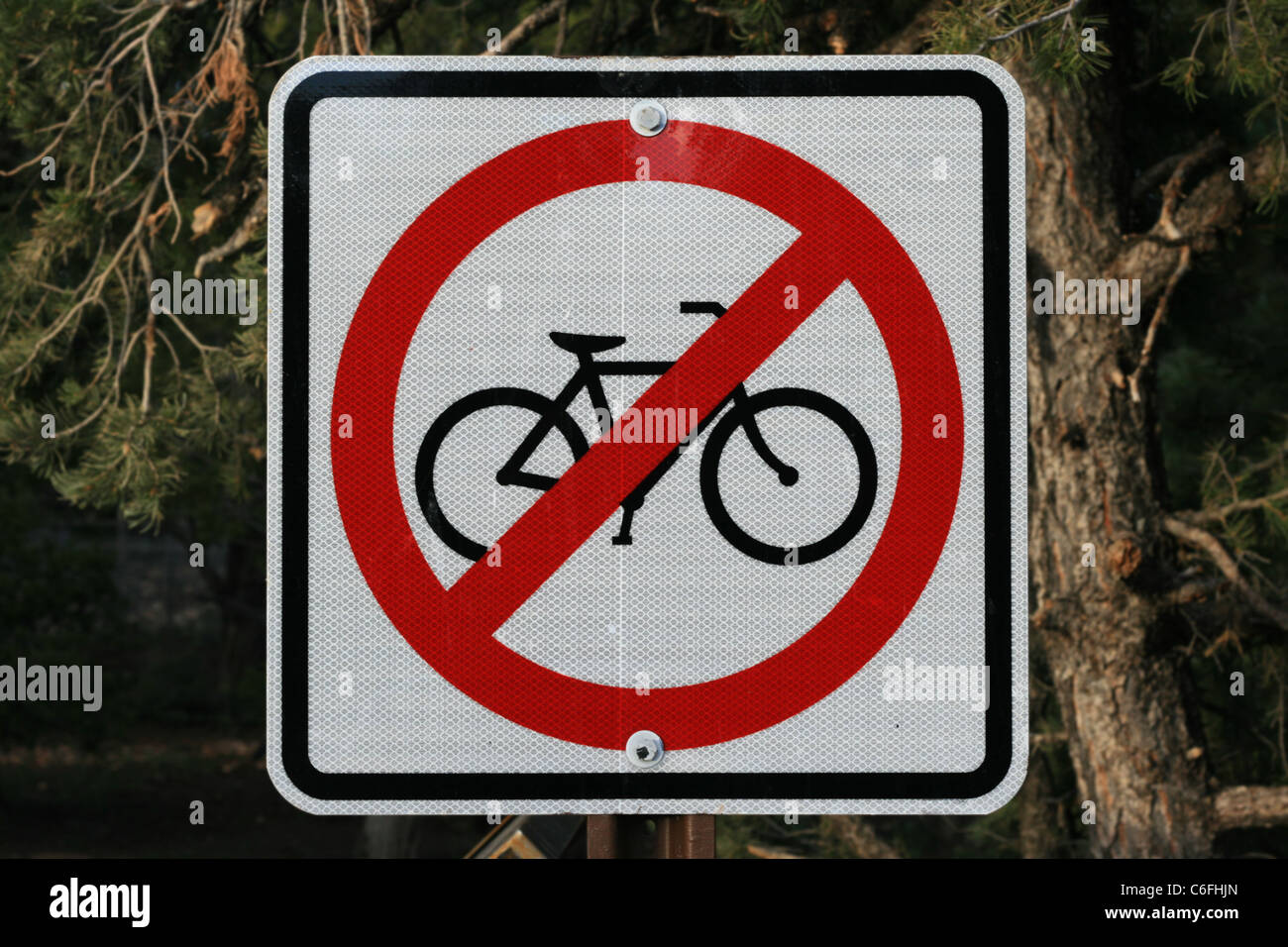 kein Fahrrad-Schild mit Pinien dahinter Stockfoto