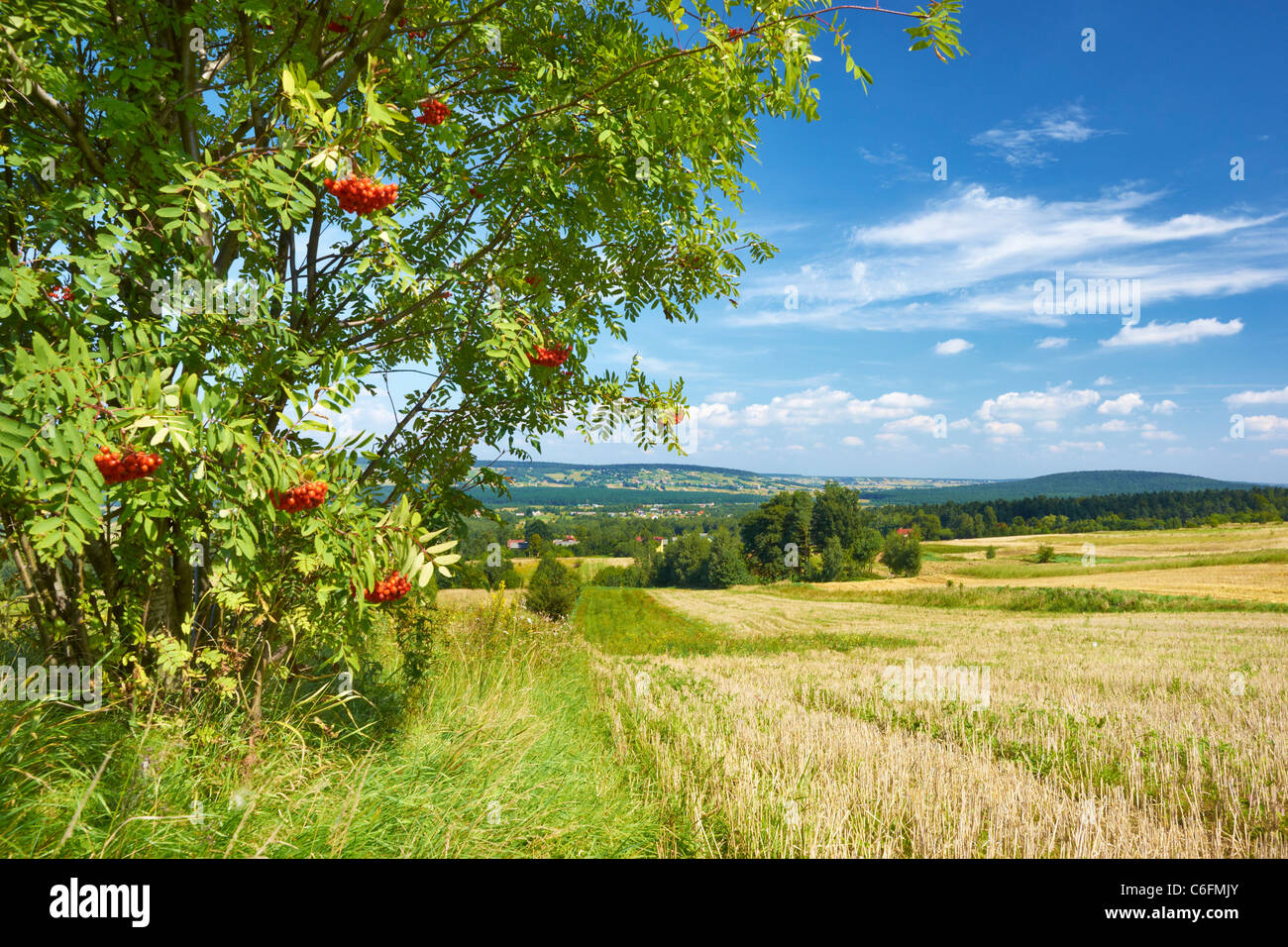 Swietokrzyskie Mountains (Holy Cross Mountains), Poland, Europe Stockfoto