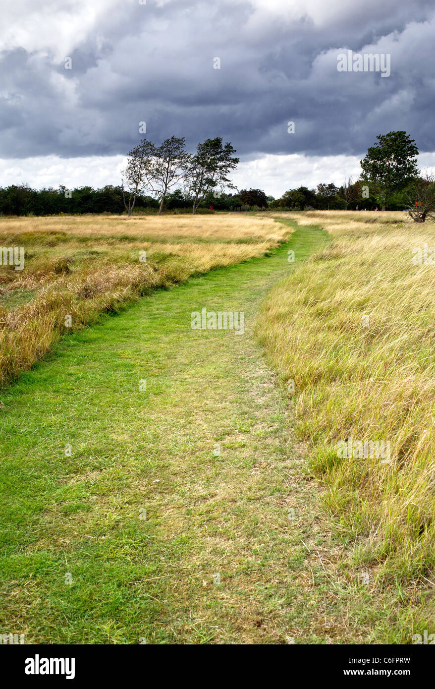 Regenwolken über die Essex-Landschaft Stockfoto