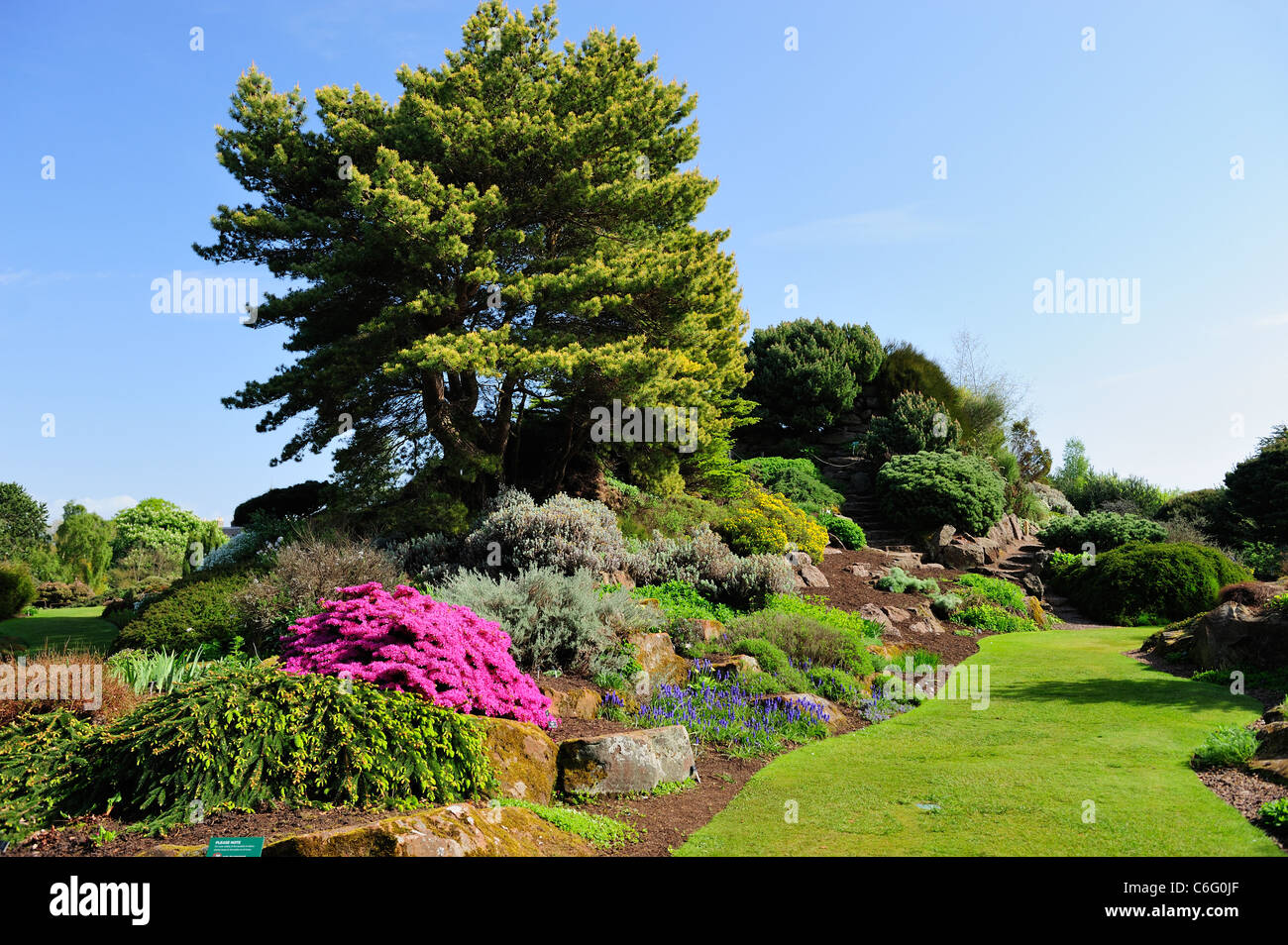 Frühling Farben Royal Botanic Garden Edinburgh, Scotland, UK Stockfoto