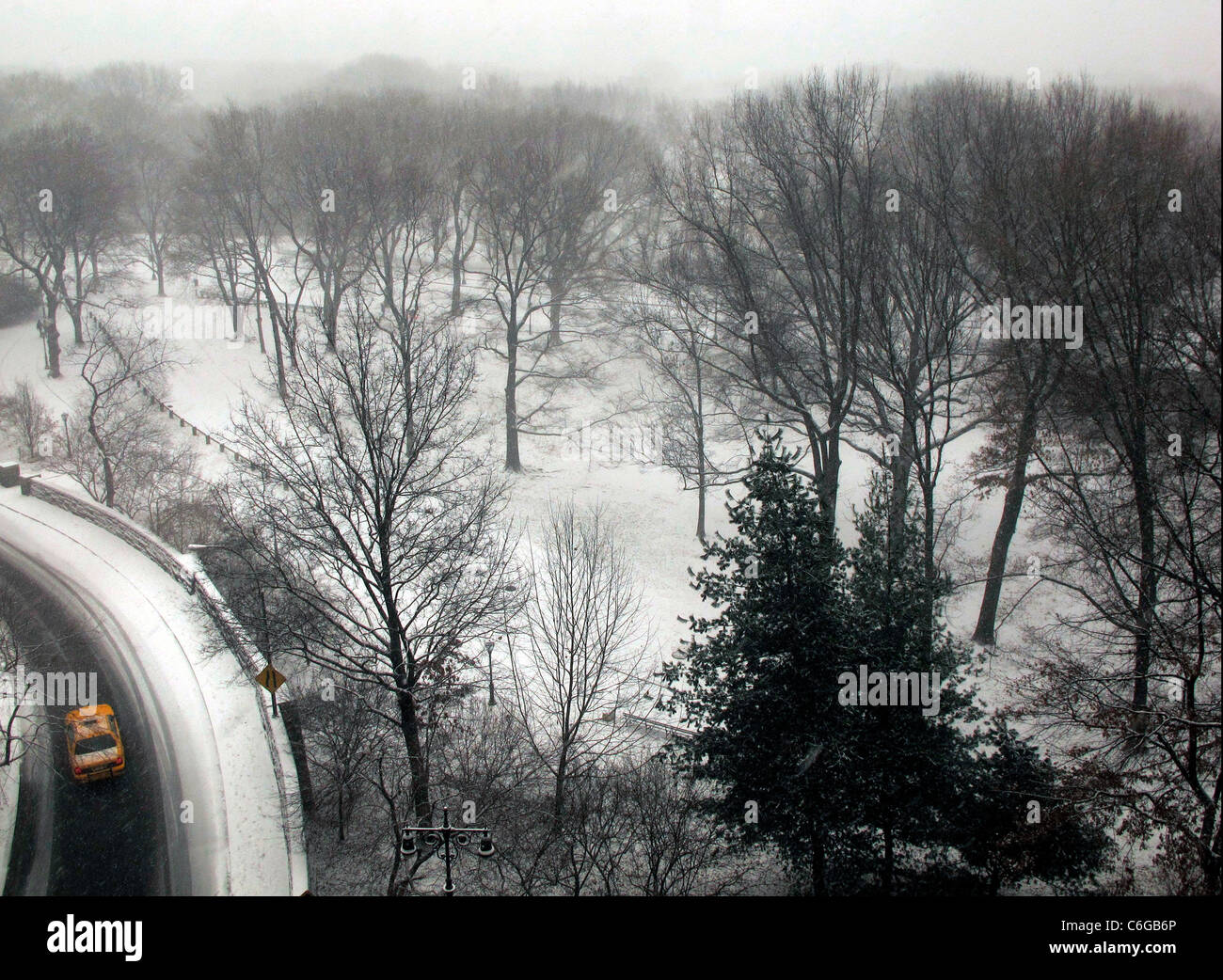 Central Park quer, Yellow Taxi im Winter Schnee mit Bäumen, NYC Stockfoto