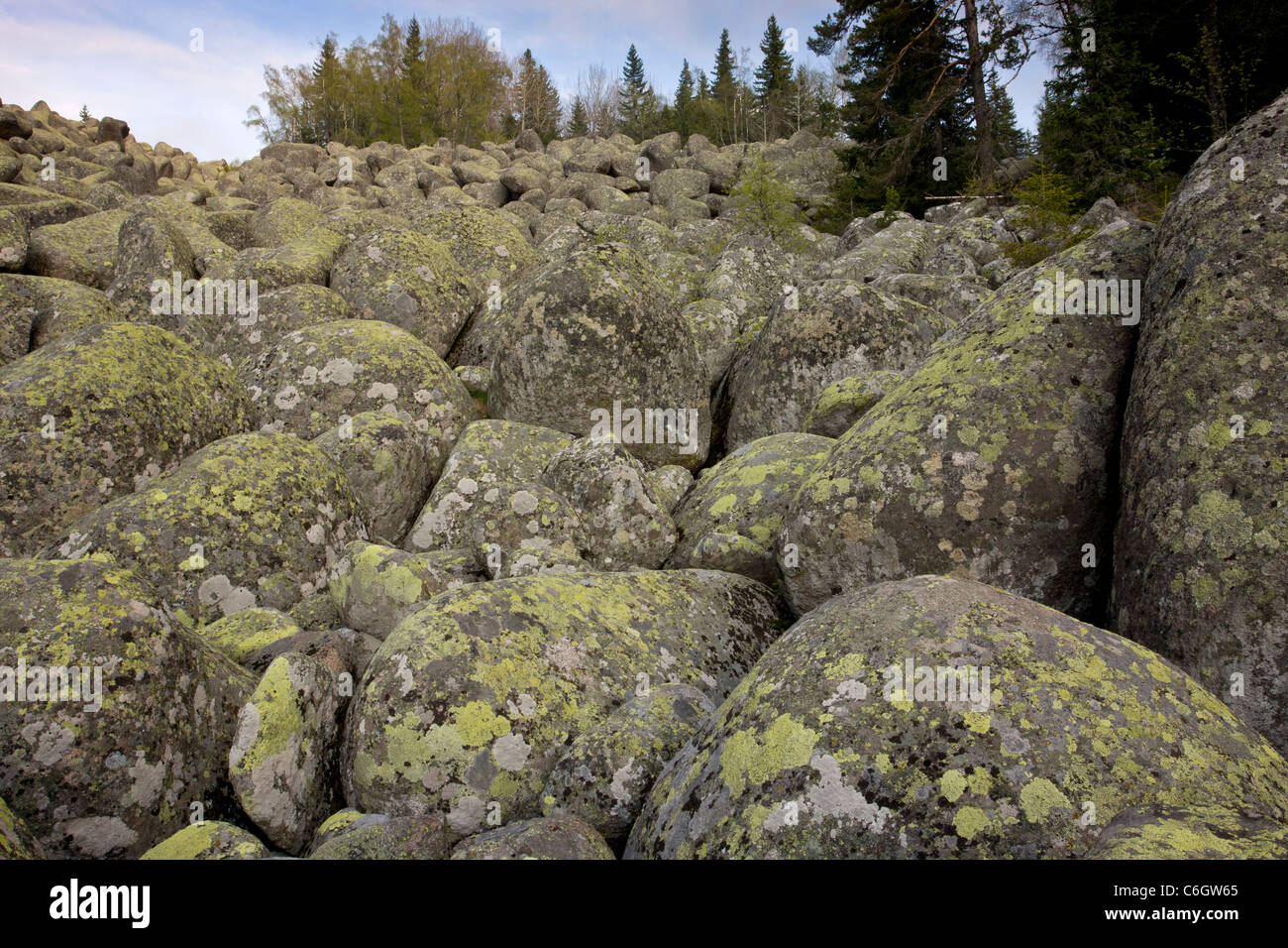 Vitosha Stein Fluss besondere geomorphologische Phänomen aus Granit im periglazialen Bedingungen gebildet. Witoschagebirges, Bulgarien Stockfoto