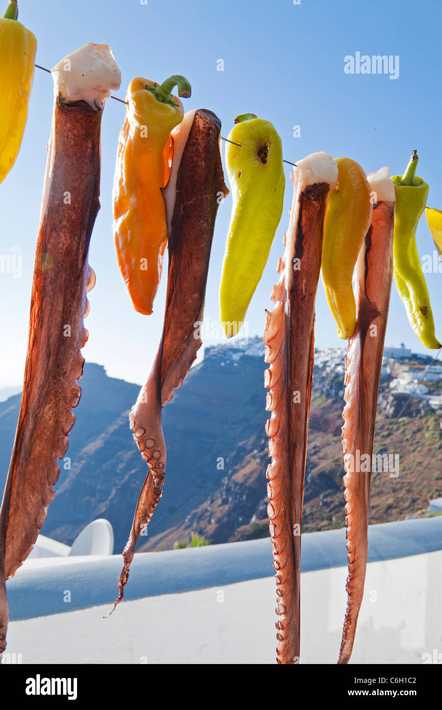 Krake (Ohtapodi) trocknen vor einem Restaurant in Fira, Santorini (Thira), Kykladen, Ägäis, Griechenland, Europa Stockfoto