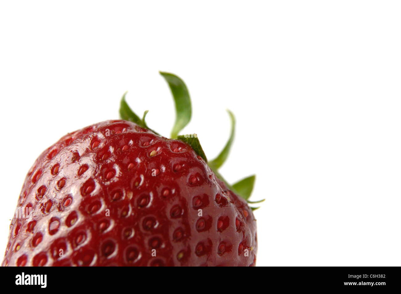 Erdbeere isoliert Nahaufnahme auf weißem Hintergrund Stockfoto