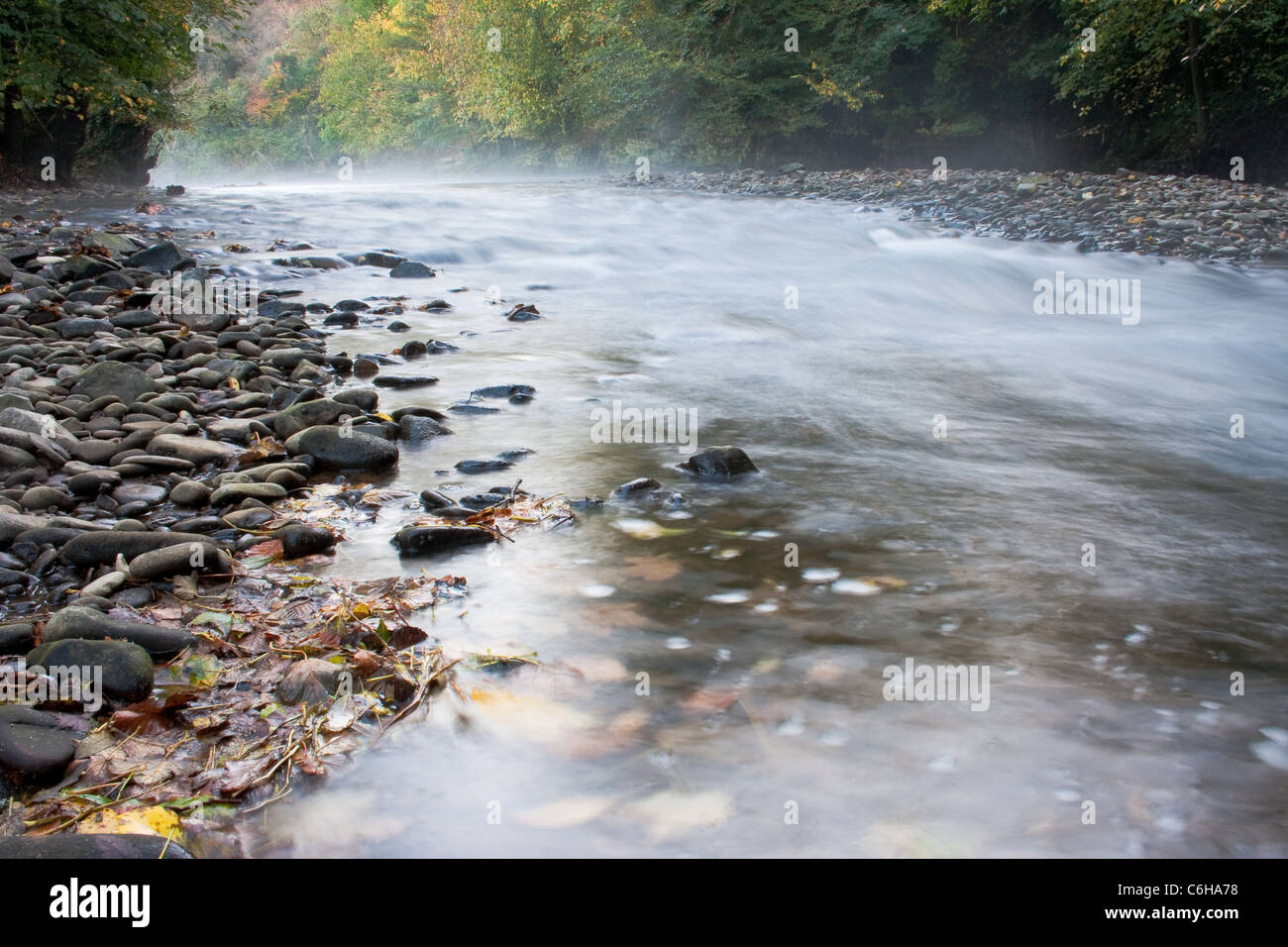 Nebligen Stream mit Herbstfärbung verlässt und Kieselsteine Stockfoto