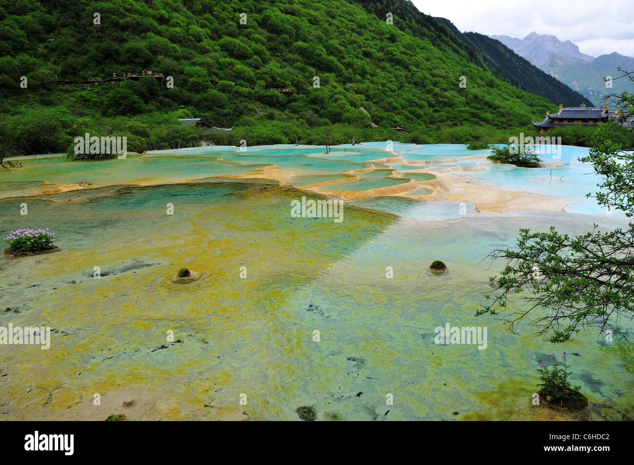 Travertin Terrasse Pools im Huanglong Naturschutzgebiet, ein UNESCO-Weltkulturerbe. Sichuan, China. Stockfoto