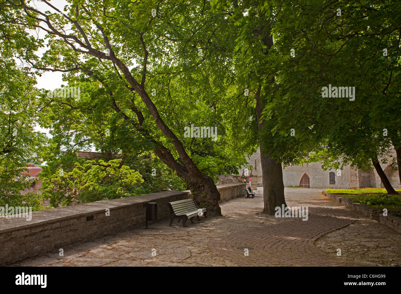 Tallinn, Weltkulturerbe alte Hauptstadt Estlands. Stockfoto