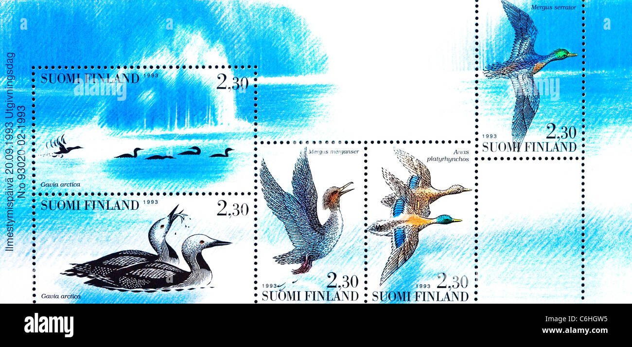 Finnland-Briefmarke-Broschüre, wilde Wasservögel. Stockfoto
