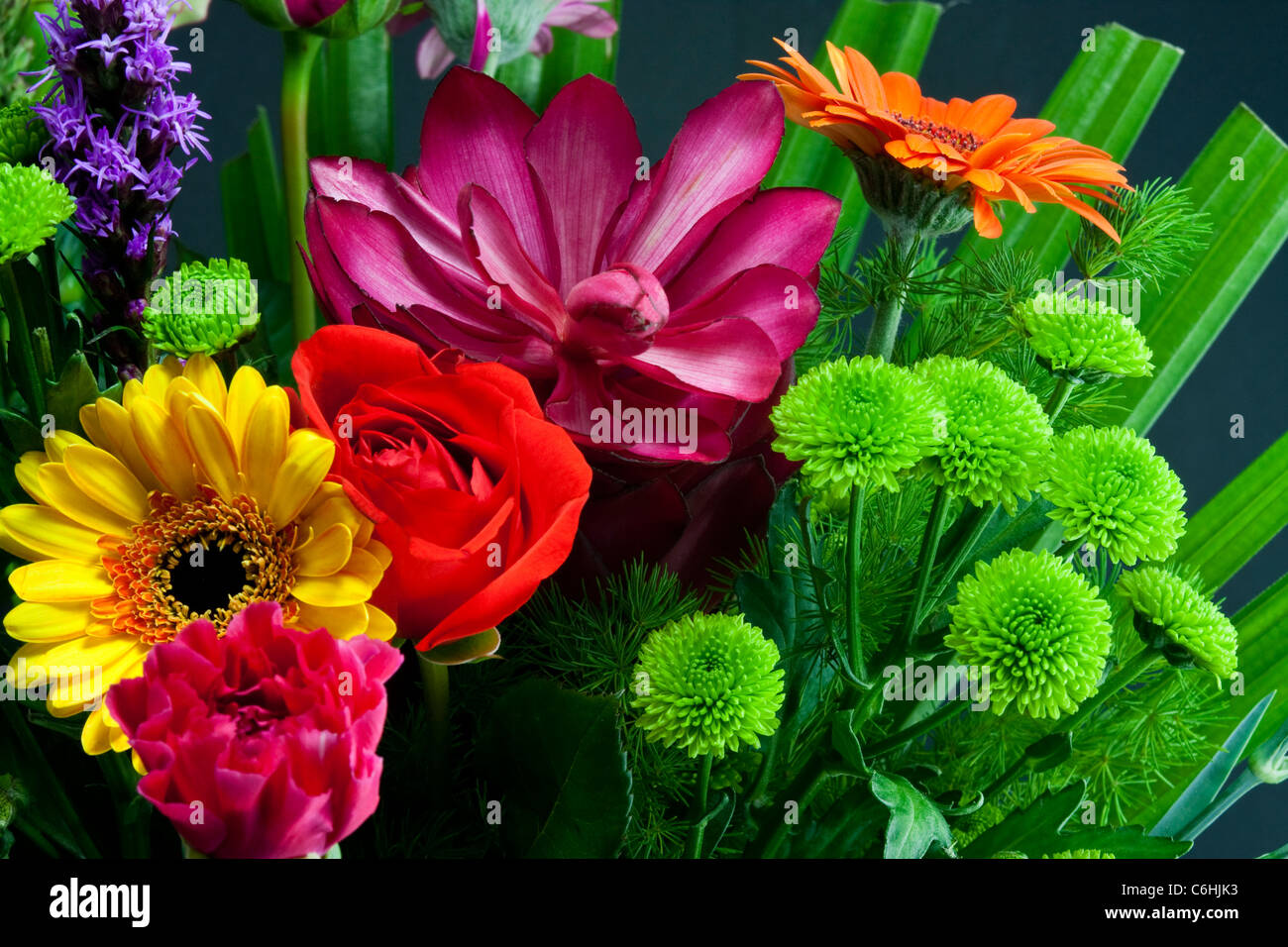 tropischen bunten Blumenstrauß auf schwarzem Hintergrund Stockfoto