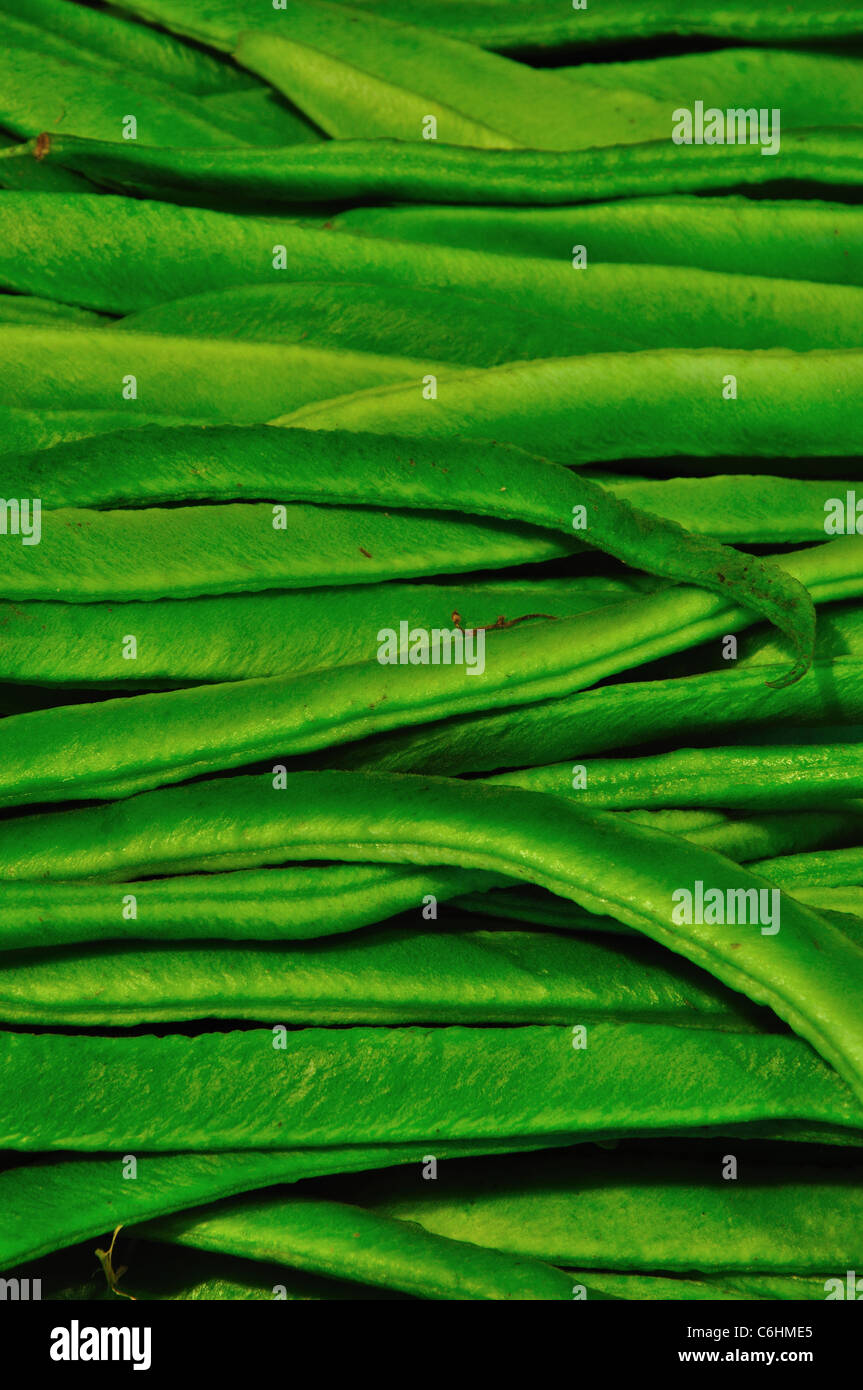 Eine gute Ernte von frischen Stangenbohnen, lang, gerade und grün Stockfoto