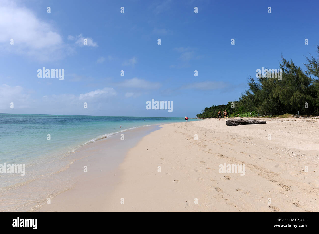 Blick entlang der Strand mit Treibholz, Green Island, Great Barrier Reef, Queensland, Australien Stockfoto