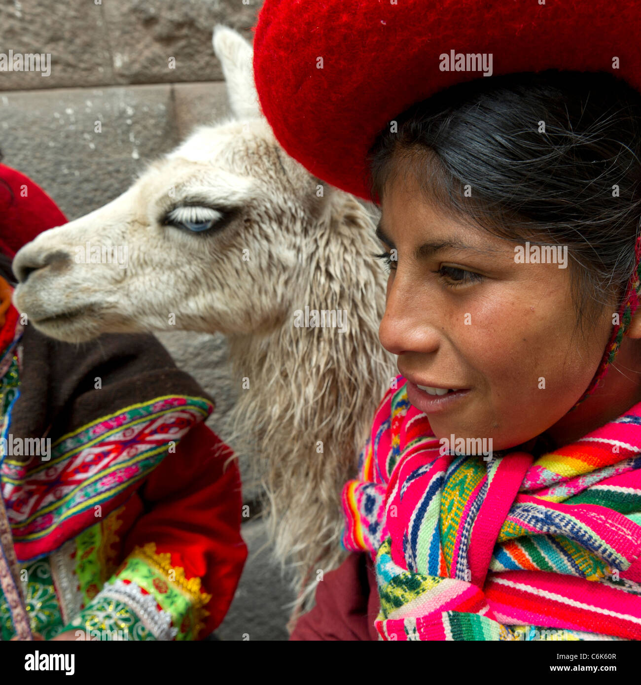 Nahaufnahme eines Mädchens mit einem Lama (Lama Glama), Cuzco, Peru Stockfoto